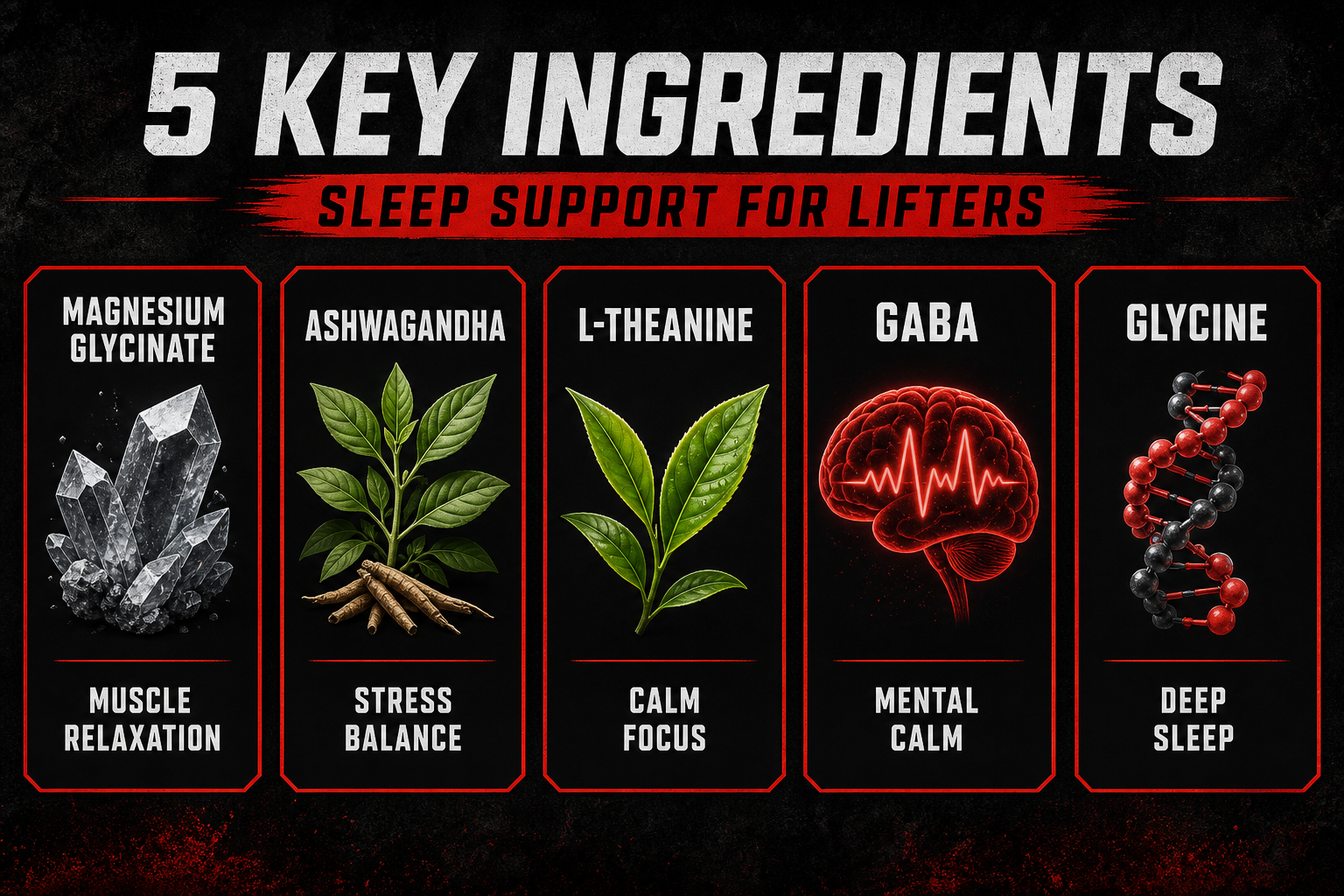 Key sleep support supplement ingredients for overnight muscle recovery in lifters