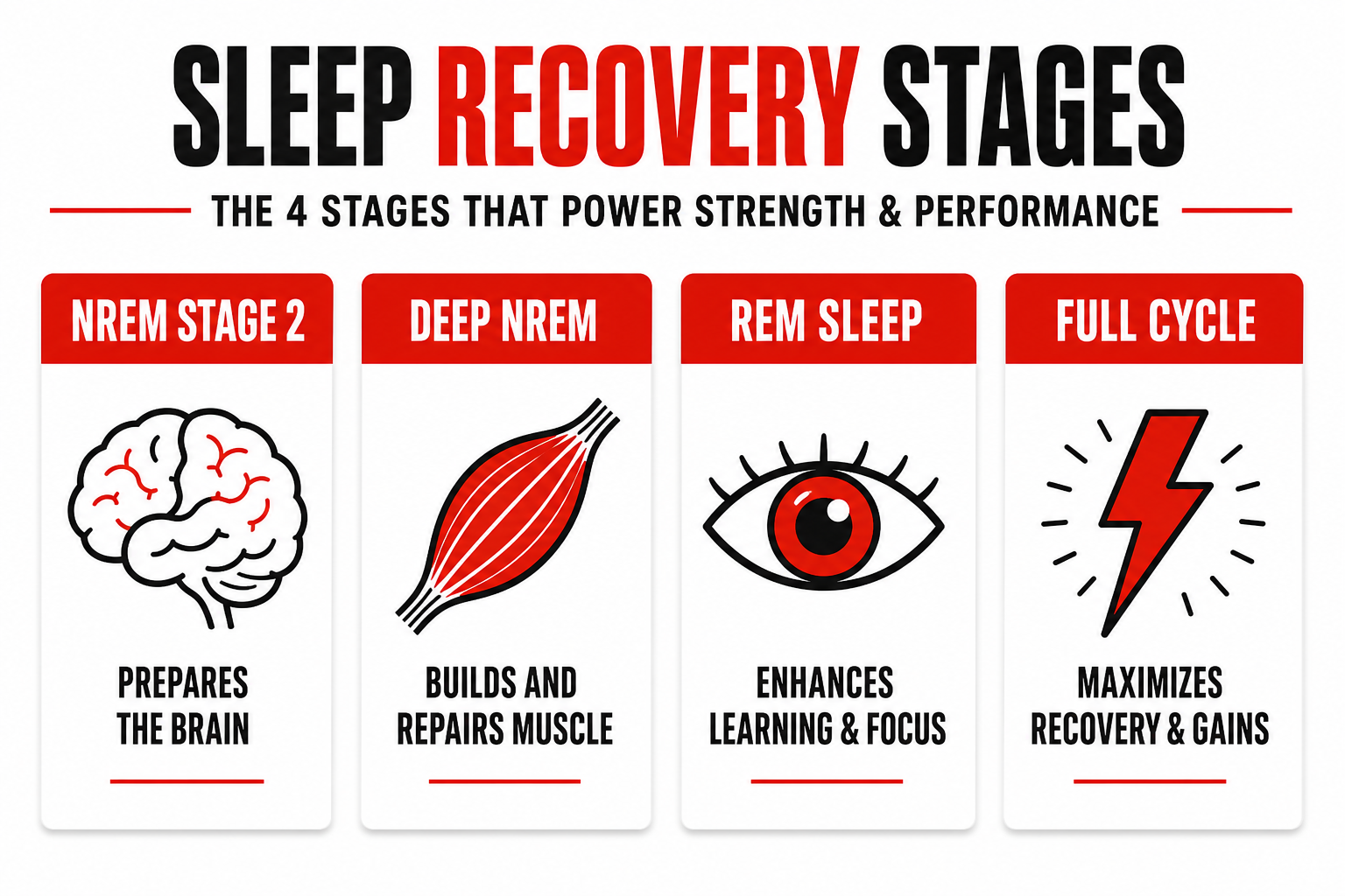 Sleep recovery stages infographic showing NREM, deep sleep, REM, and full cycle benefits for athletes